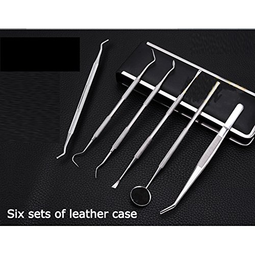 Dental Hygiene Kit Pinkiou Dental Tools Set Stainless Steel Dentist Use  Dental Pick Floss Gum Tools Stainless Steel Tarter Scraper Tooth Pick  Dental Scaler And Tweezers Oral Mirror Probe Tool - Pinkiou